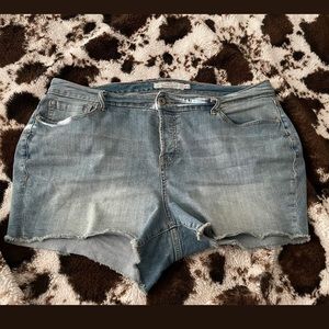 Torrid shorts/ Light denim, these are high waisted